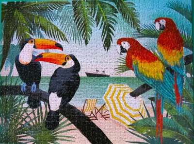 Welcome to Paradise VI