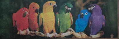 Rainbow parrots