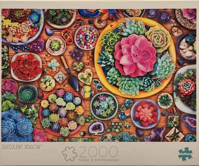 Succulent Season