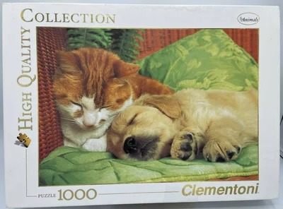 Chaton & chiot