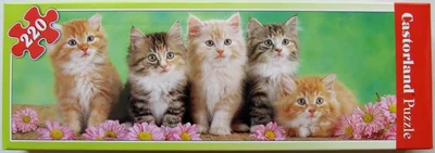Five Kittens