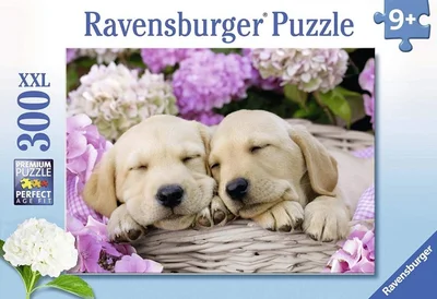 Sweet Dogs in a Basket