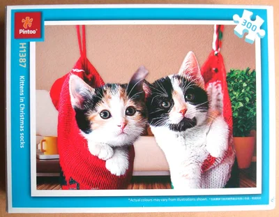 Kittens in Christmas Socks