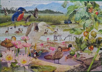 Wetlands of Australia