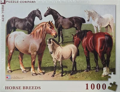 Horse Breeds