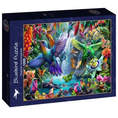 Tropical hummingbirds