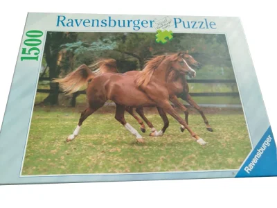 Galop dans les prés