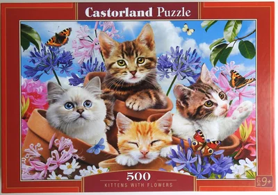 Kittens With Flowers