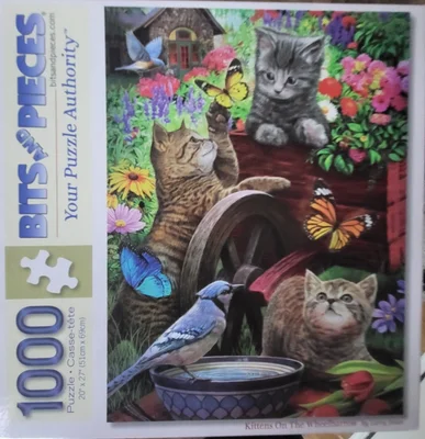 Kittens On The Wheelbarrow