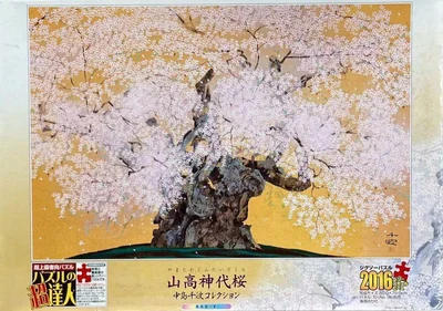 Yamataka Jindai Zakura