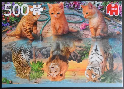 A Kitten's Dream